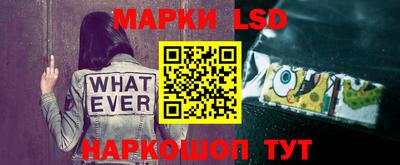 мяу мяу мука Апшеронск