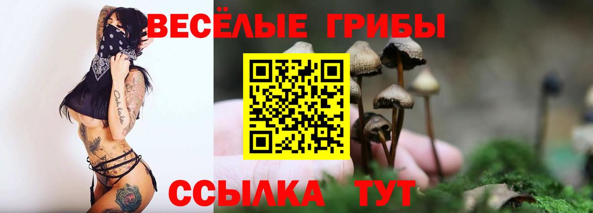 Псилоцибиновые грибы мухоморы  Вход с VPN  Всеволожск  Галлюциногенные грибы GOLDEN TEACHER 